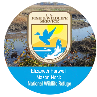 Circular seal for Elizabeth Hartwell Mason Neck National Wildlife Refuge